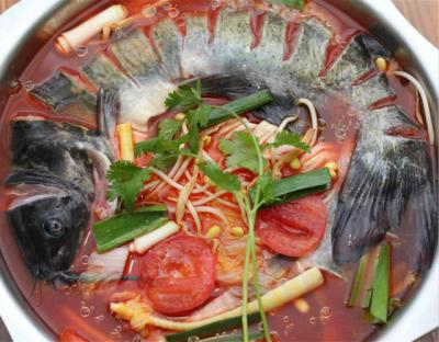 成都火鍋魚技術(shù)培訓(xùn)學校哪家正規(guī)？